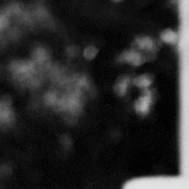 Frida Kahlo