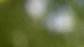 Sterilization Latina