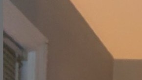 Jools Lebron demure trend