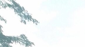 Latina immigrant story