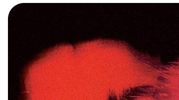 Latina books Book Lover's Day 2024