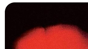 Latina books Book Lover's Day 2024