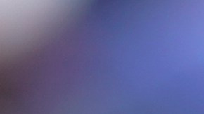 Pitbull Florida Stadium