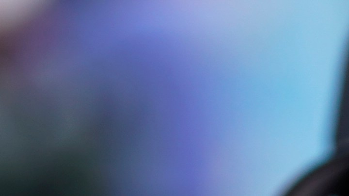 Pitbull Florida Stadium