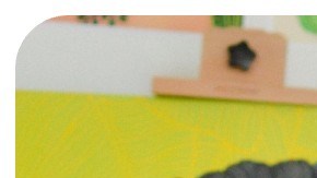 Stephanie Vidal digame