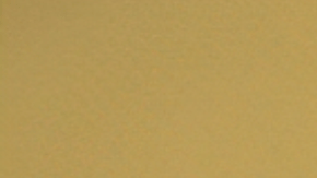 Daniela Larreal Chirinos