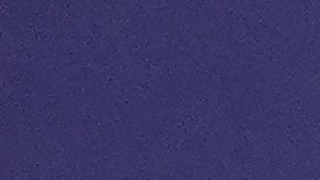 Liza Colon-Zayas Emmys