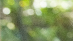 SPAM Sabor A MI Manera