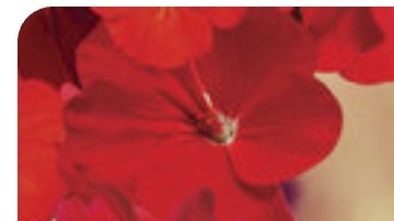 Latina books required reading