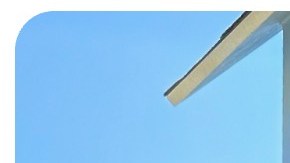 Latina Little Free Library 2024