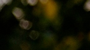 Uvalde School Shooting Indictment