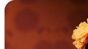 Photo courtesy: @barbiestyle/@barbie