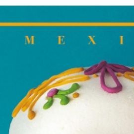 Day of the Dead Books Featured Images