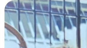 First Gen Venezuelan