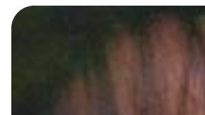 Latinx-Led Movies Genres