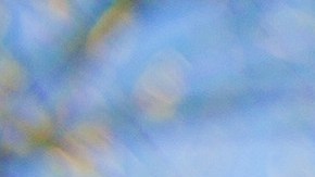 a love letter to only daughters