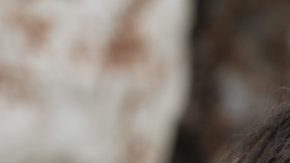 Acculturative Stress Latinas