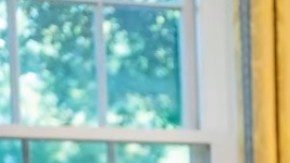 Selena National Medal Arts