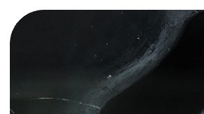 Spooky Latina films and tv