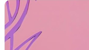 Photo courtesy: @karolg/@bratz