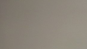 Photo: Wikicommons/
Gage Skidmore