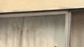 Gloria Osborne Sheeler Afro Latina