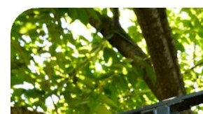 Katherine Bahena-Benitez Indigenous actor