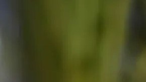 Yadira Sanchez Poder Latinx