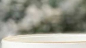 Nochebuena Gift Guide Featured Image