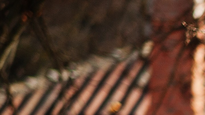 Latinx Representation