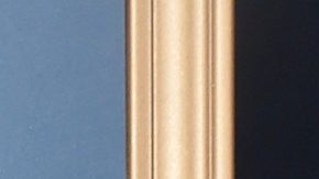 Adrienne Bailon Houghton