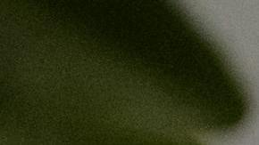 New Year's Resolution letter writing 2025