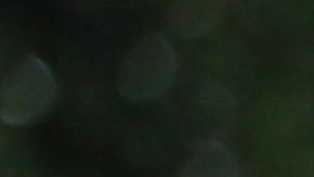 Immigration Birthright Citizenship