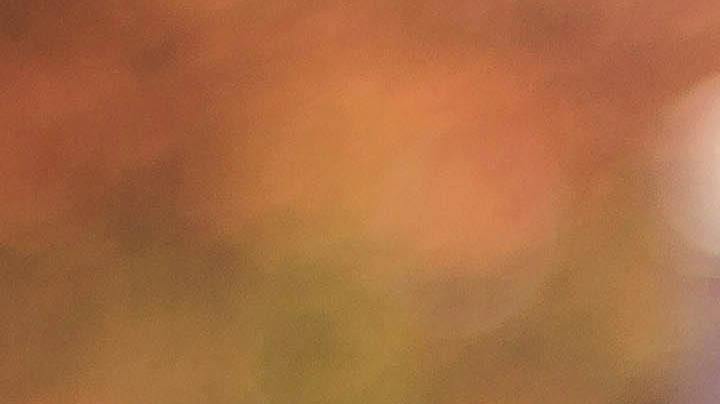 solo dates self love