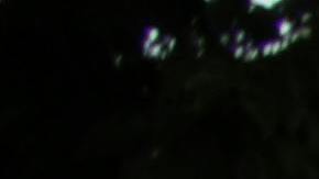 Trans Latina resistance