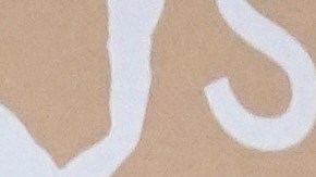 Zoe Saldana SAG Awards