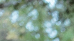 Latinas Throughout History