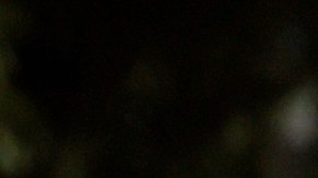 Selena Yolanda Saldivar