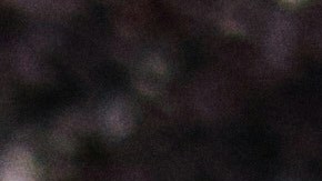 Photo: Unsplash/Alex Robinson (@aliixar)