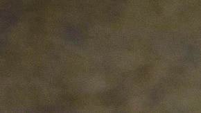 Mass Shootings Gun Access