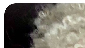 Yael Valencia Aldana Black Mestiza