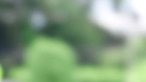 Breaking the Silence: Financial Stress and Mental Health in Latine Households