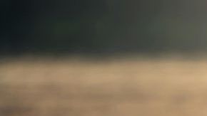 Therapist Talks: The Emotional Toll of ICE Raids on Our Bodies and Minds