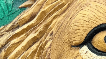 Leo Season Is Opening Our Hearts, Here’s What It Means for Each Zodiac Sign