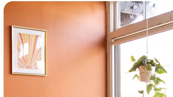 Casita Bookstore Antonette Franceschi-Chavez