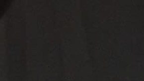 Yasmim Barros harvard Brazilian