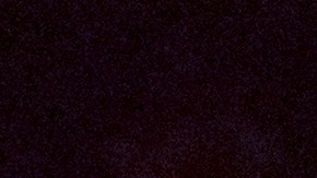 Puerto Rico Bad Bunny