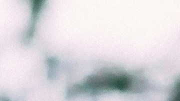 eldest-hijas-caretaking