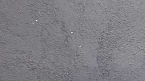 Learning Spanish Latina