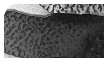 Afro Latinas Mainstream Media